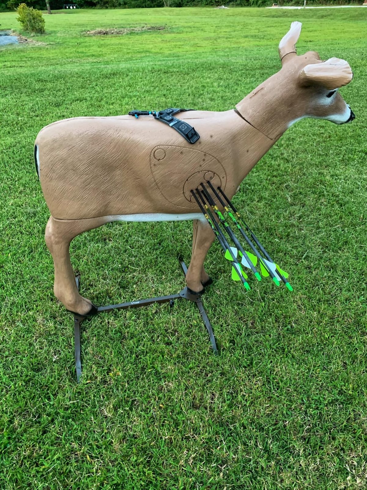 HMEHunting Made Easy HME-3DTS 3D Target Stand customer photo 2