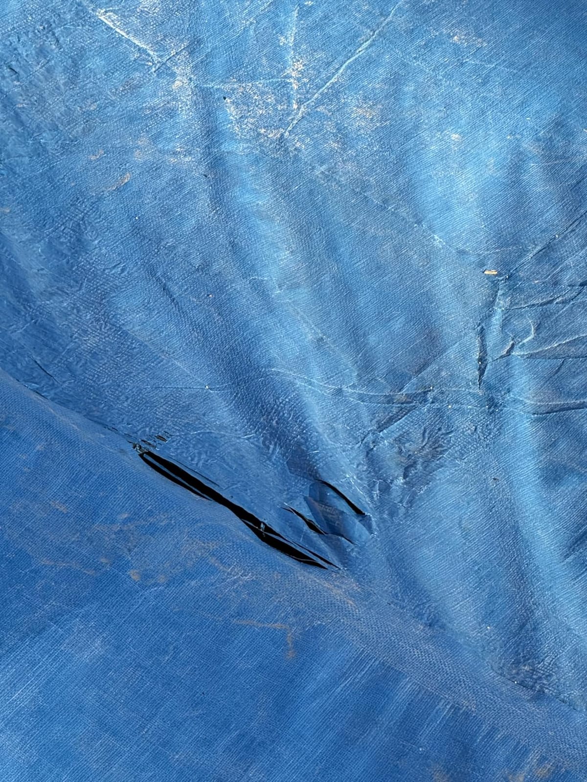 Blue Wave Gold 15-Year 18-ft x 36-ft Rectangular In Ground Pool Winter Cover customer photo 1