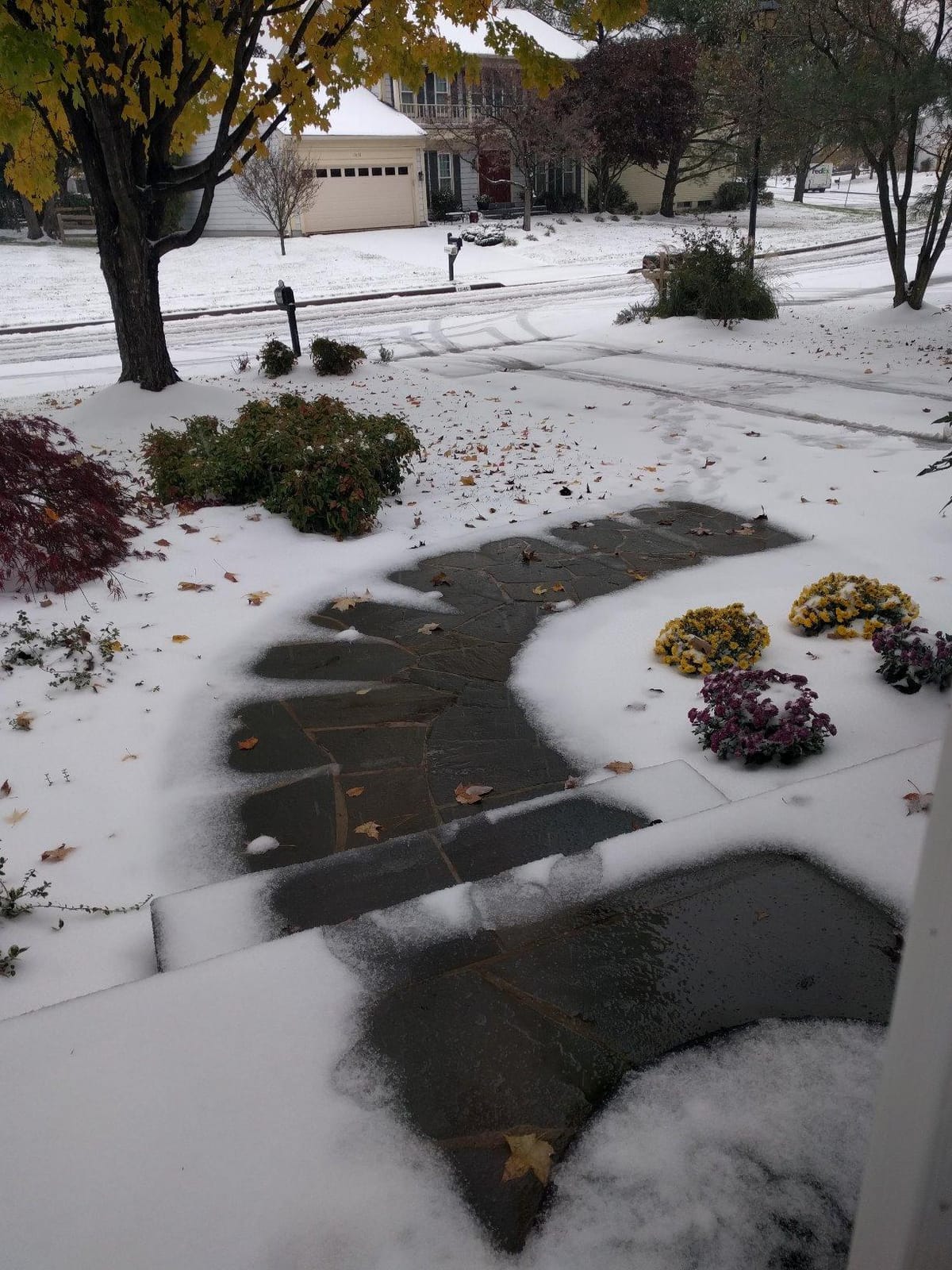 WarmlyYours PowerMat Snow Melting Mat, 3 x 10 ft, 30 sqft | Electric ice melting and snow removal mat embeds in asphalt, concrete, or mortar under pavers, for walkways, patios, ramps customer photo 1