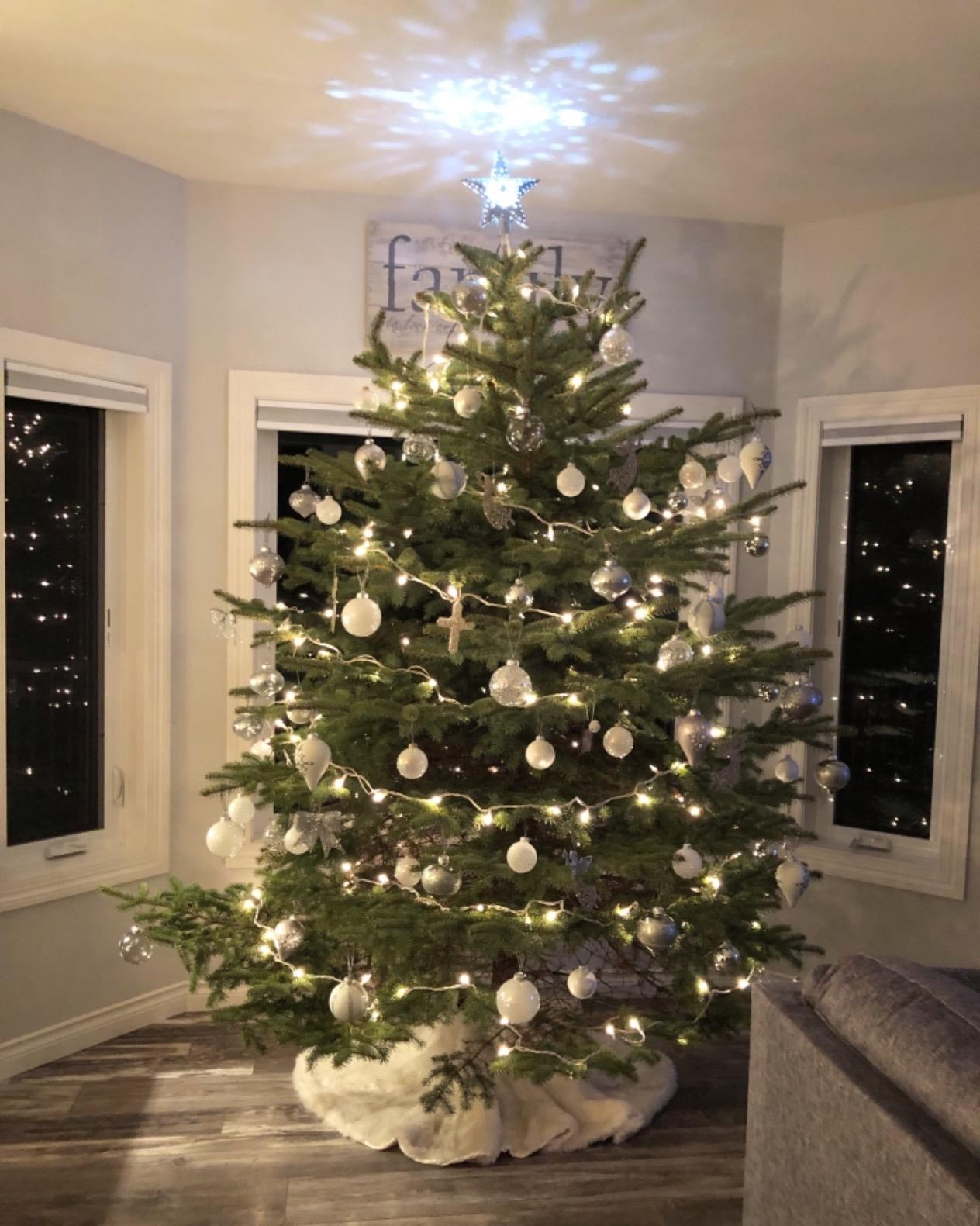 C148E Stand Express Tree with Ratcheting Fastener System, 10-Foot customer photo 2