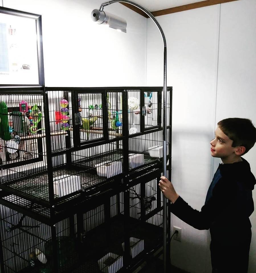 ZML FXTR AVIAN SUN DLX FLOOR customer photo 1