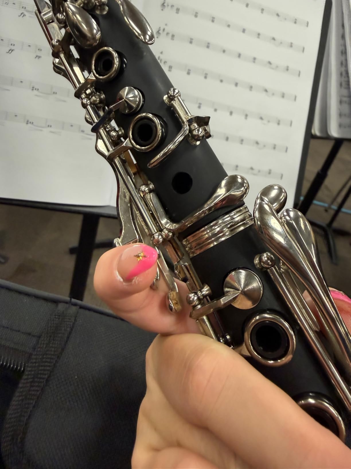 Jean Paul USA CL-300 Student Clarinet B Flat customer photo 1