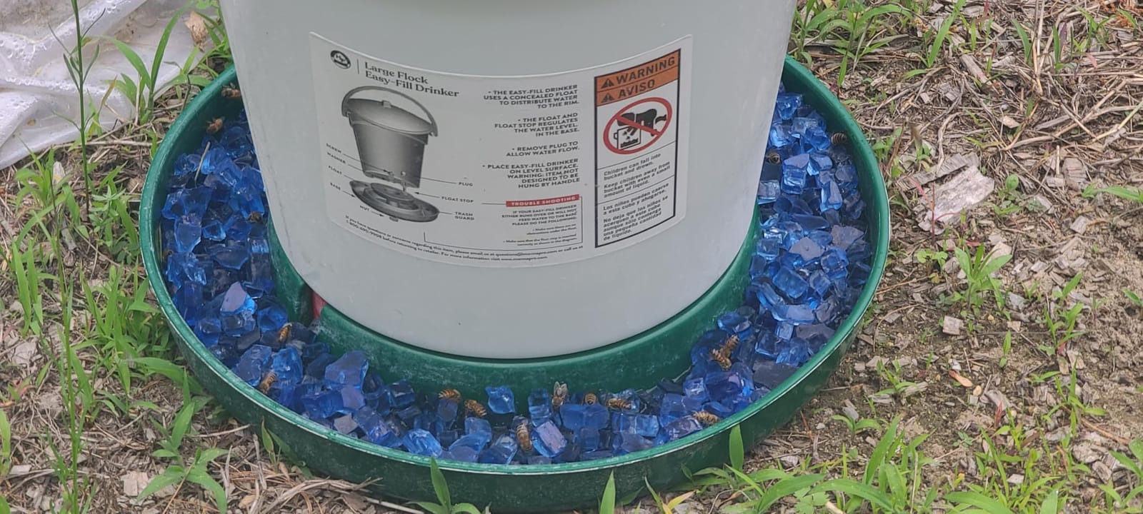 Harris Farms Easy-Fill Poultry Drinker, NO BPA Plastic, 6.25 Gallon | Large Capacity Poultry Drinker, Top-Fill Design, Durable NO BPA Plastic Construction, Ideal for Chickens & Backyard Flocks customer photo 1