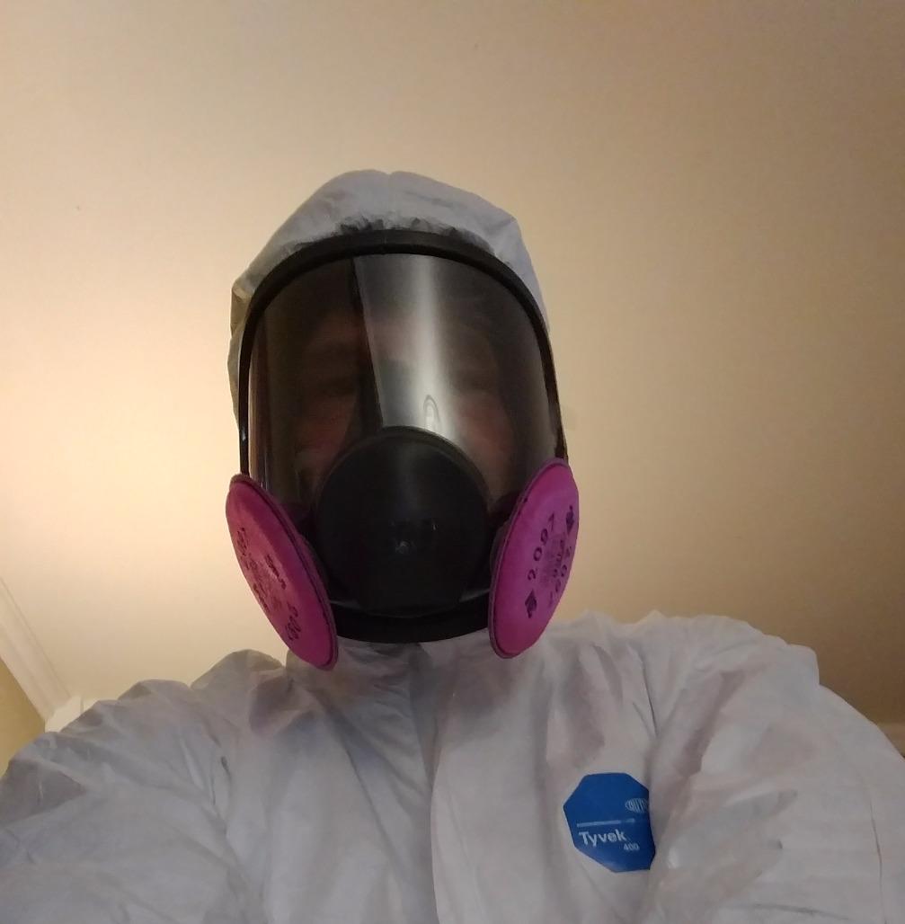 3M Full Facepiece Reusable Respirator 6800, NIOSH, Medium customer photo 1