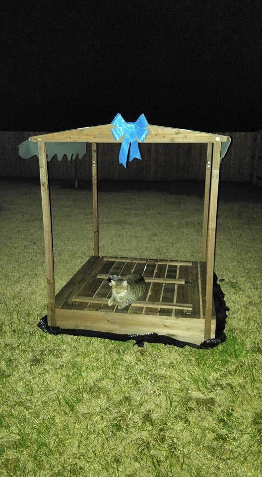 Badger Basket Sandbox for Kids with Canopy & Benches - Outdoor Convertible Wooden Sandbox with Lid, UV Shade & Built-In Seating - Backyard Playset (46.5 x 46.5 x 57) customer photo 1