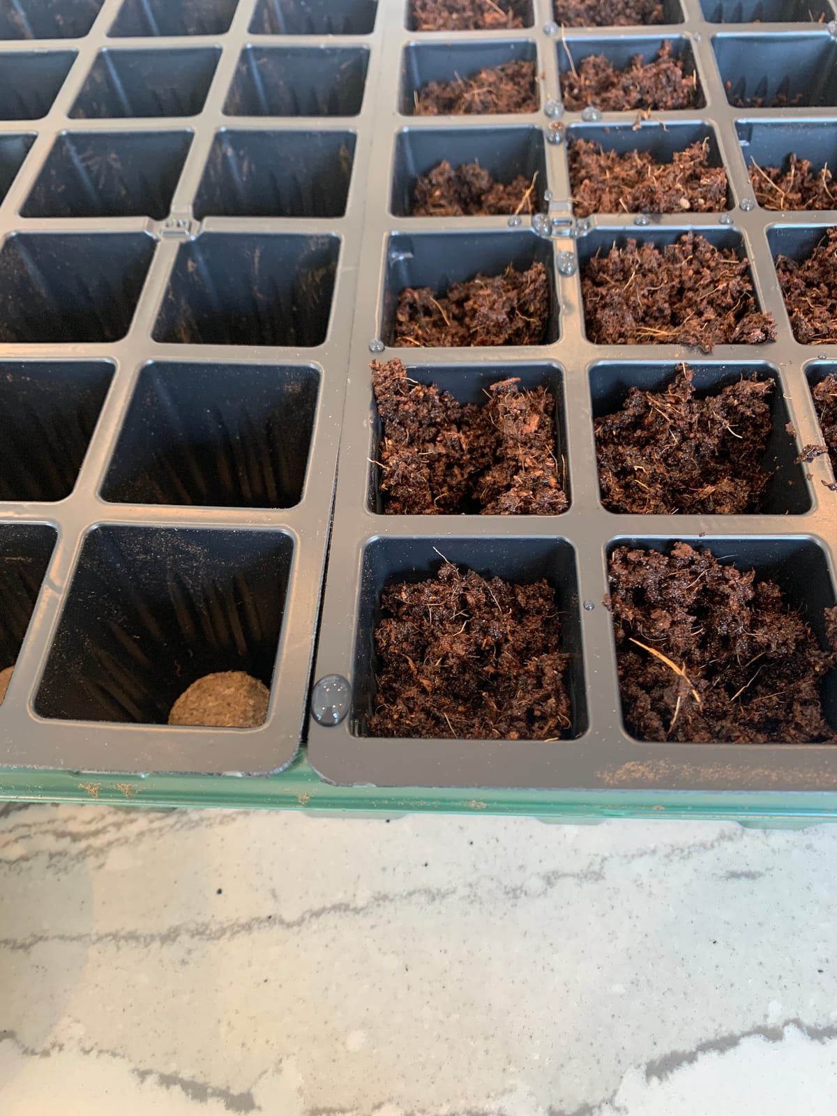 Burpee 72 Cell Seed Starting Kit with Greenhouse Dome and Coir Pellets | Indoor greenhouse kit with 72 coir pellets and humidity dome for starting vegetable, herb and flower seeds with less mess customer photo 2