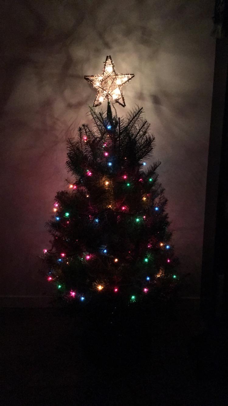 CINCO EXPRESS C-152E 8' Christmas tree stand customer photo 1