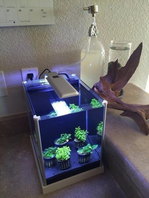 Fluval SPEC Freshwater Aquarium Kit, Aquarium with LED Lighting and 3-Stage Filtration, 2.6 Gallon, Black | Aquarium with LED Lighting and 3-Stage Filtration customer photo 1