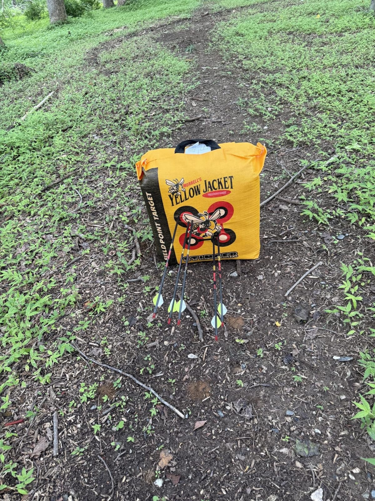 Morrell Yellow Jacket Stinger, Field Point Archery Target with 2 Shooting Sides & 10 Bullseyes - Portable Backyard Hunting Practice Bag with E-Z Tote Carrying Handle & Easy Arrow Removal customer photo 1