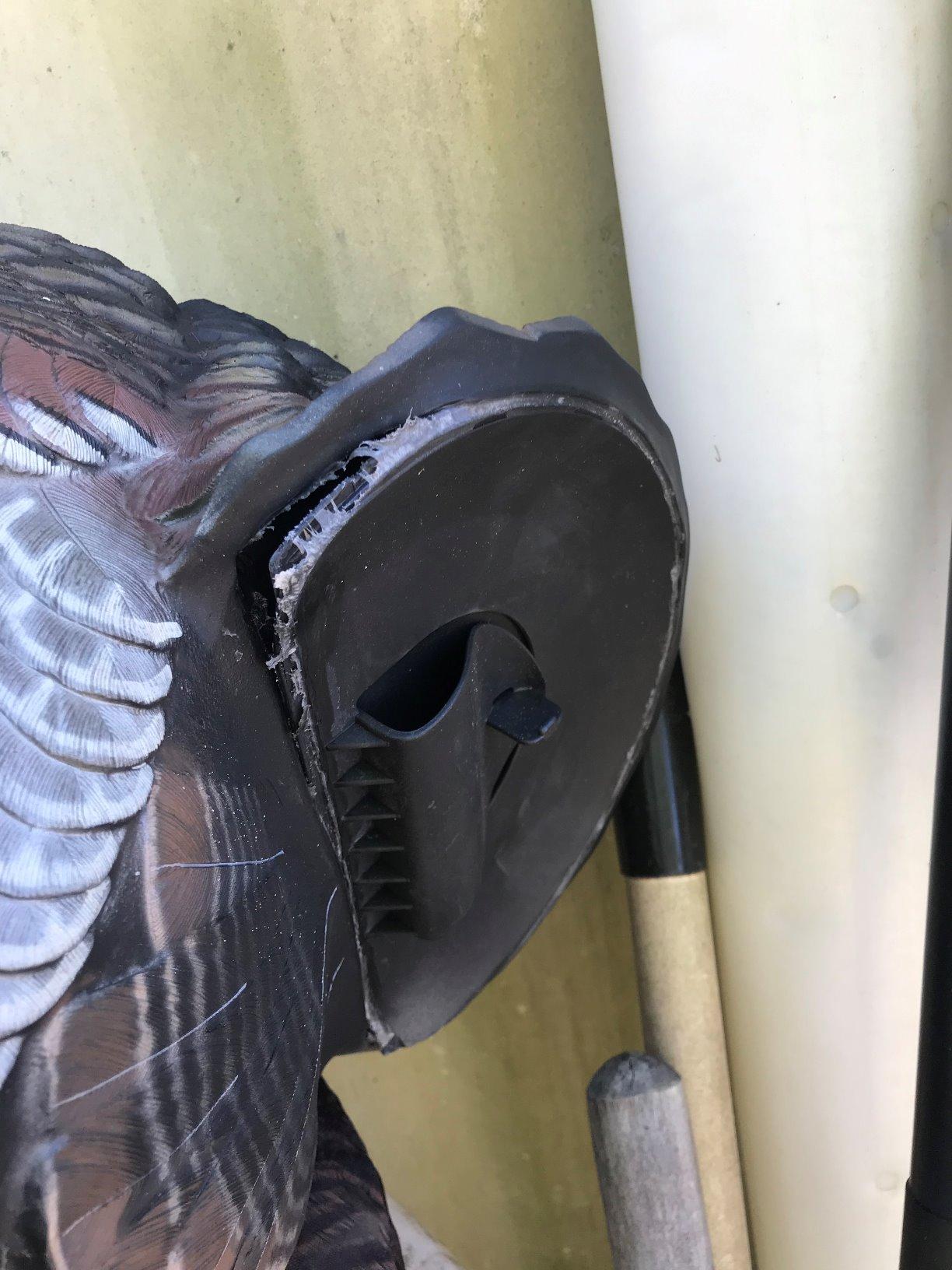 Avian-X LCD Strutter Durable Realistic Lifelike Collapsible Standing Hunting Folding Turkey Decoy with Carry Bag & Stake, AVX8004 customer photo 2