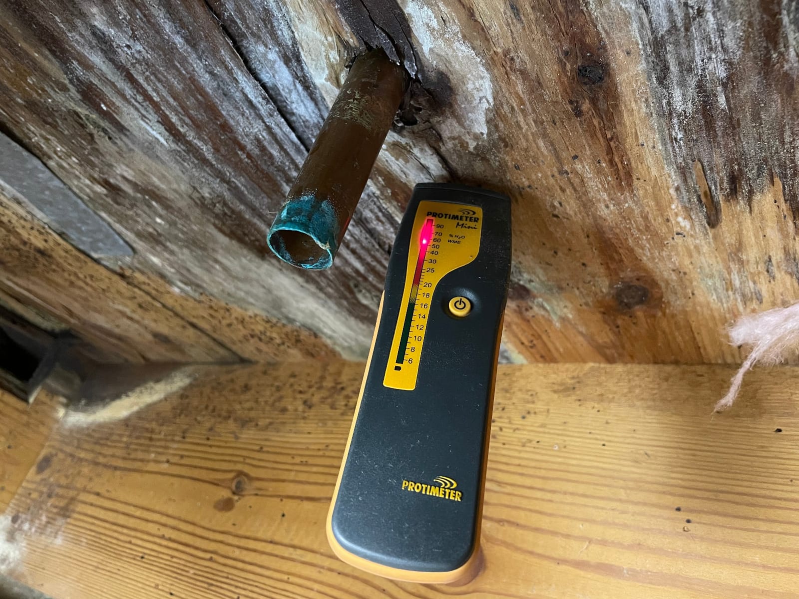 Protimeter Mini General Purpose Moisture Meter customer photo 2