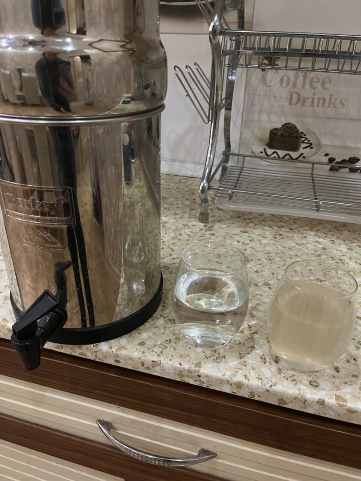 Royal Berkey 3.25 Gal Gravity Water Filter System with BB9-2 Filters | Includes 2 Black Berkey Elements, Easy-to-Assemble Stainless Steel Countertop Water Filtration System for Everyday Use customer photo 2
