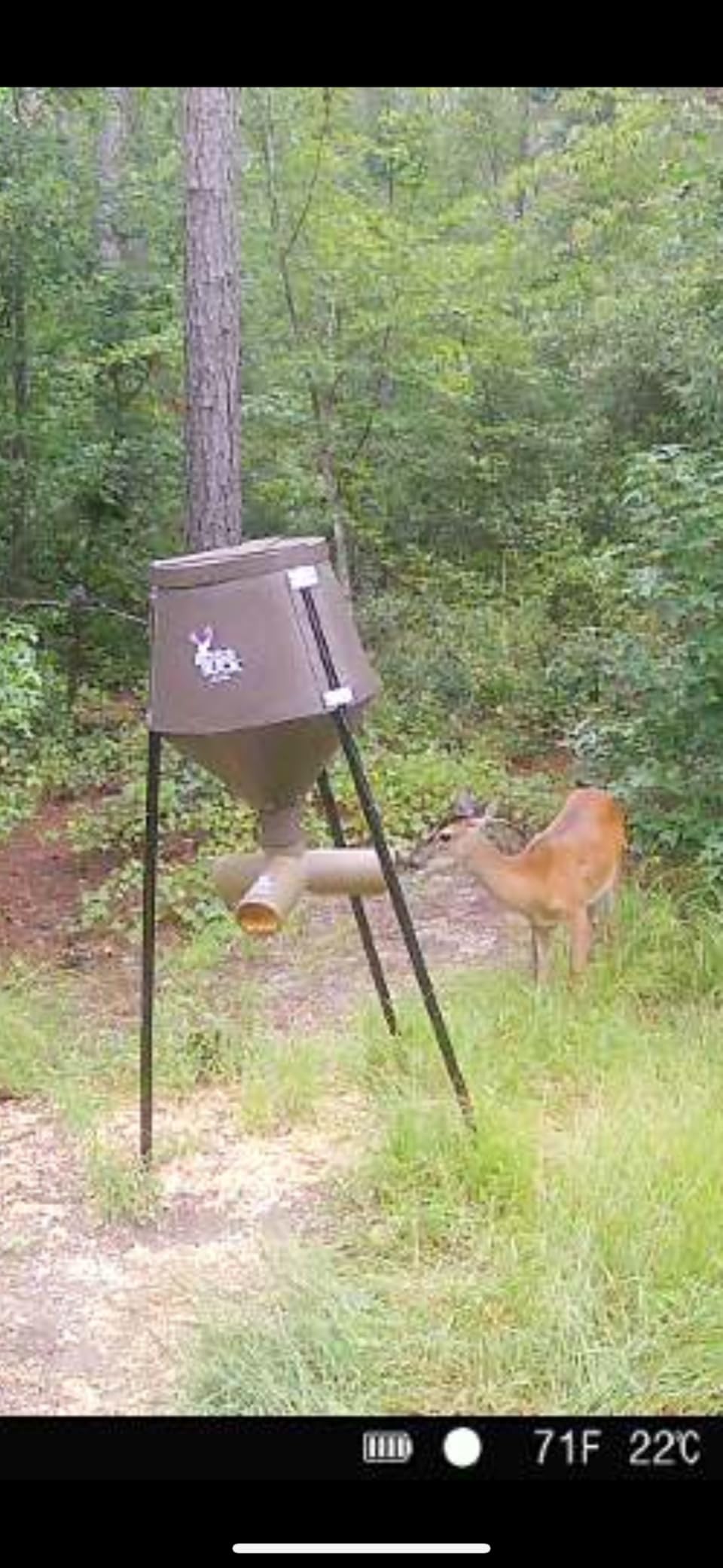 Boss Buck 350 Lb Gravity Deer Feeder with 3 Way Protein Head | 350-Lb Capacity, HDPE UV-Protected Hopper, Galvanized Round Legs, Adjustable Flow customer photo 1
