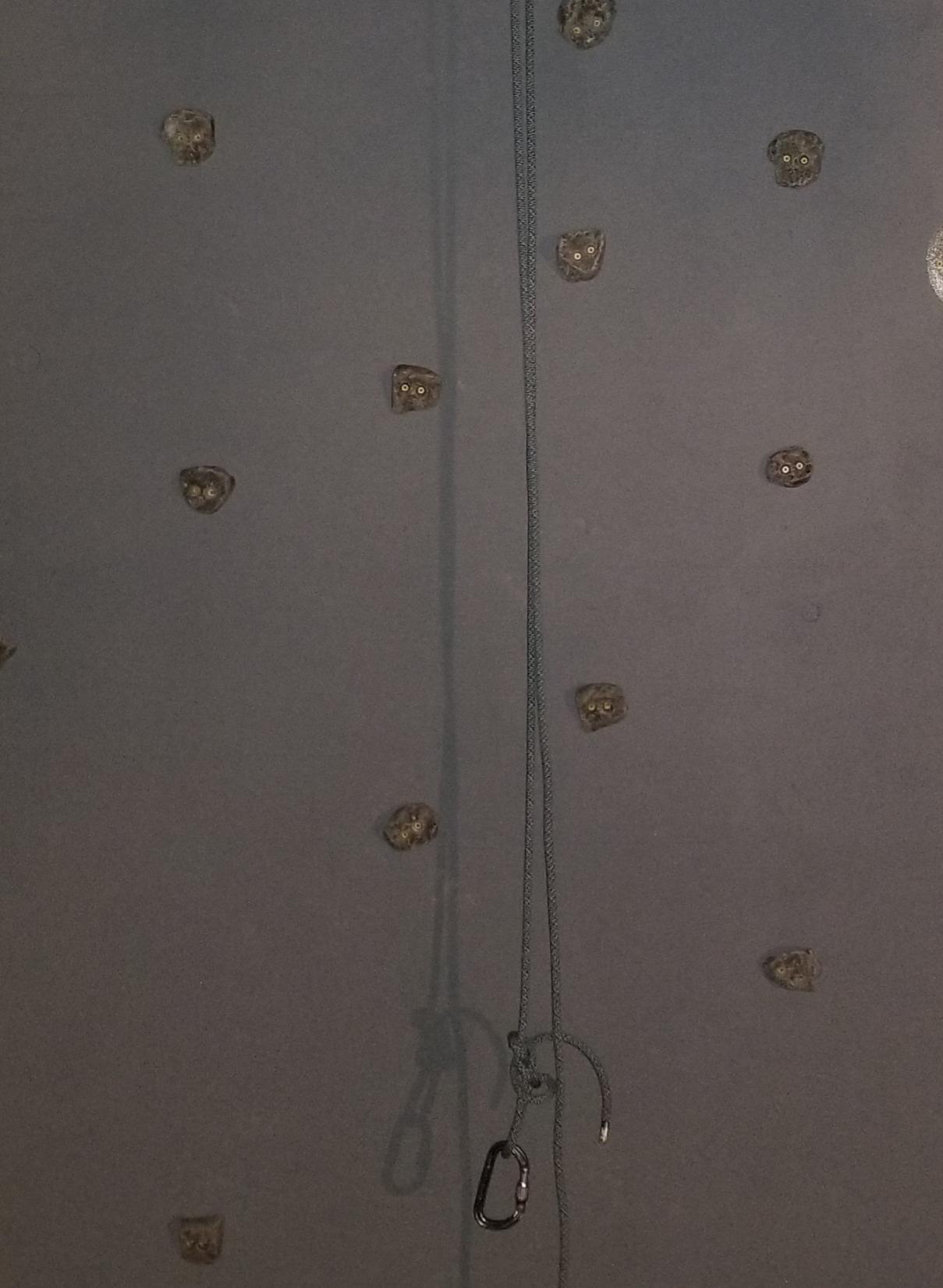 Rocky Mountain Climbing Holds. 10 Screw on Foot Jibs Made in USA customer photo 1
