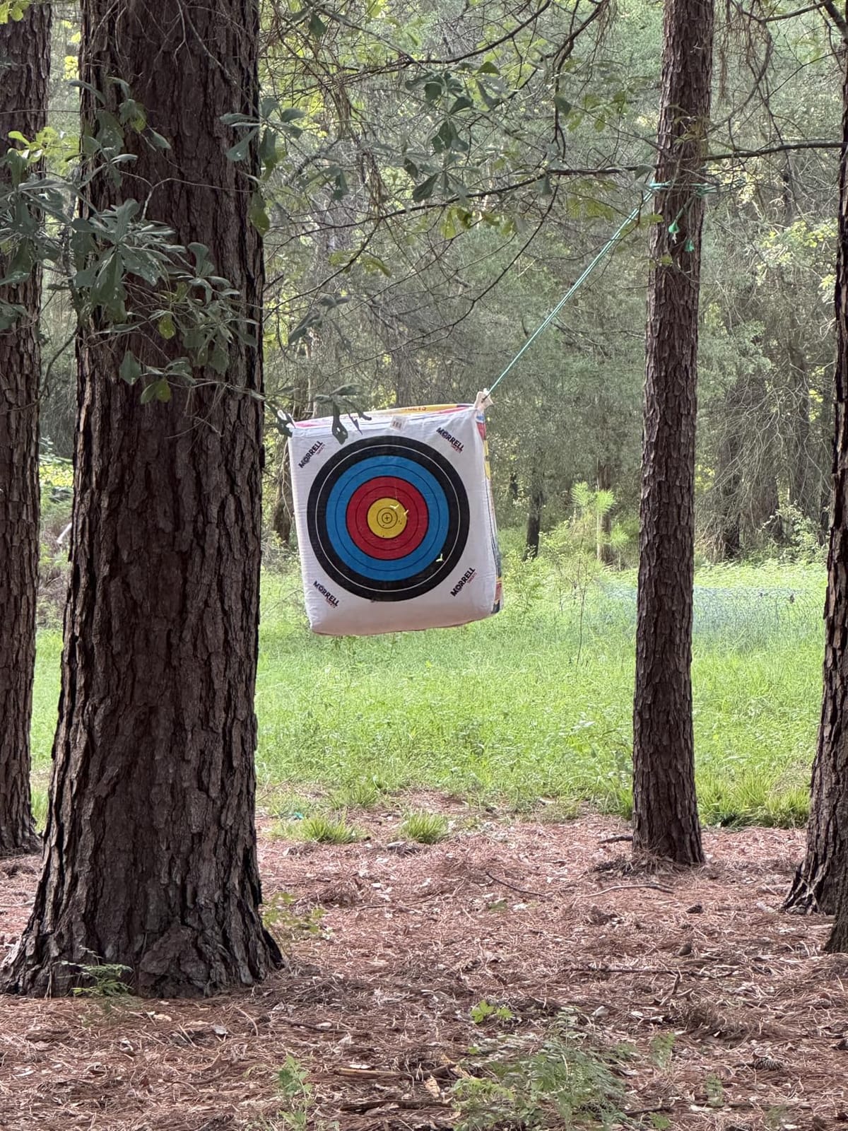 Morrell Supreme Range Adult Field Point Archery Bag Target, White | Weatherproof Hunting Practice with NASP Scoring Rings, Nucleus Center and IFS Technology customer photo 2