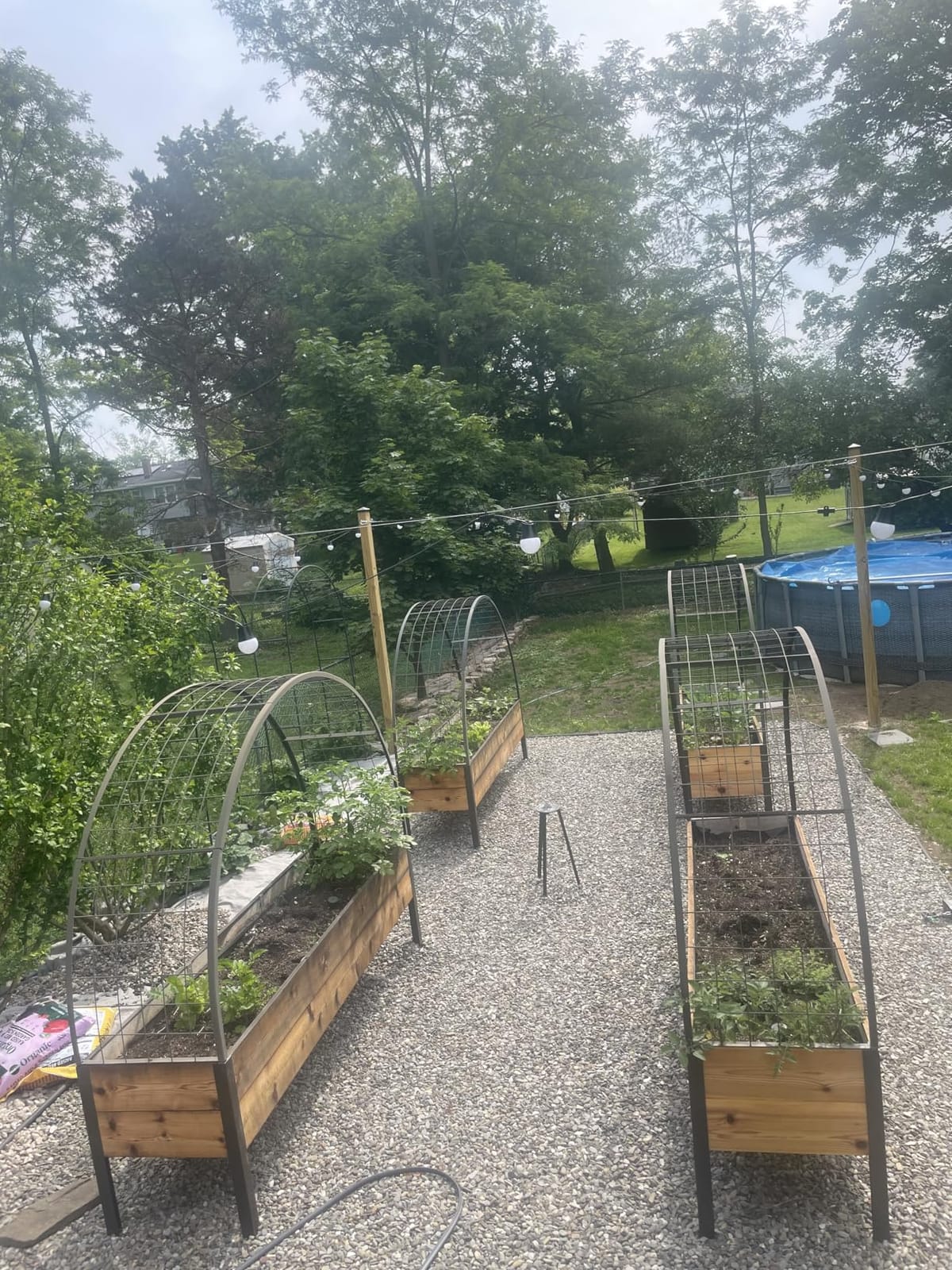Gardener's Supply Company Elevated Cedar Raised Garden Bed 2' x 4' Planter customer photo 2