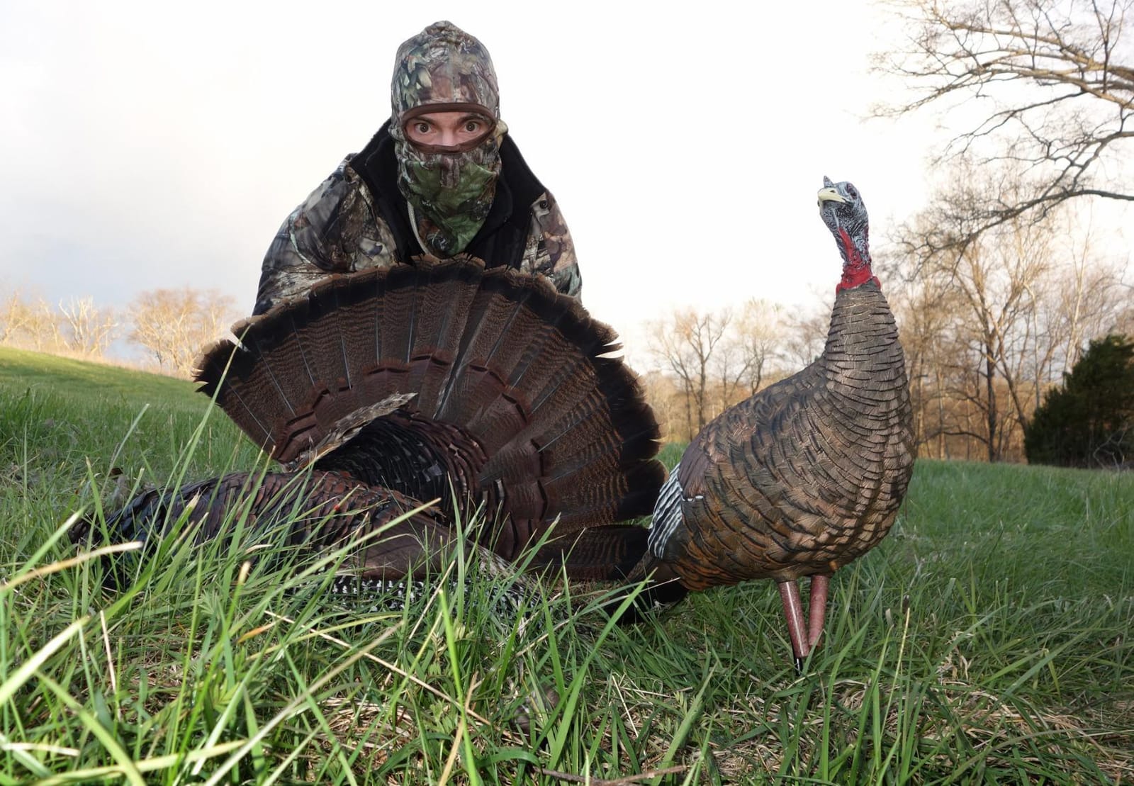 Avian X LCD Lookout Hen Turkey Decoy customer photo 1