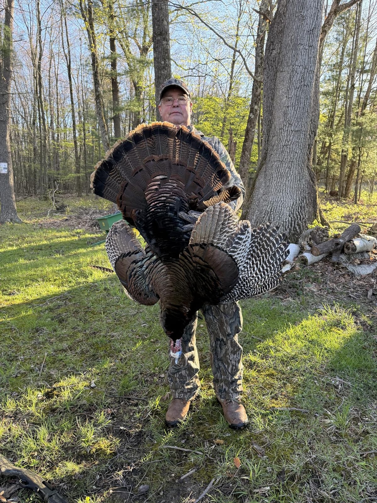 Avian X LCD Breeder Hen Turkey Decoy customer photo 2