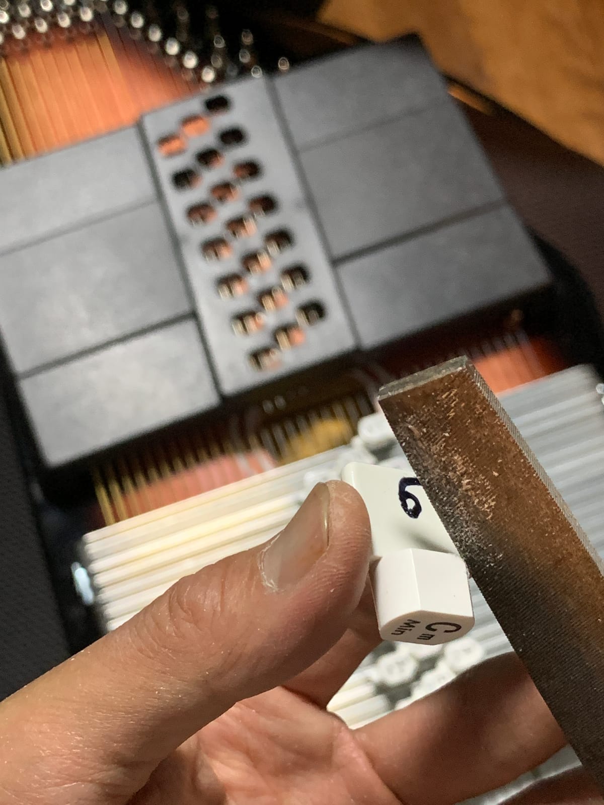 OS21CE 21 Chord Acoustic Electric Auto Harp. Tobacco Sunburst | Rock maple pin block customer photo 2