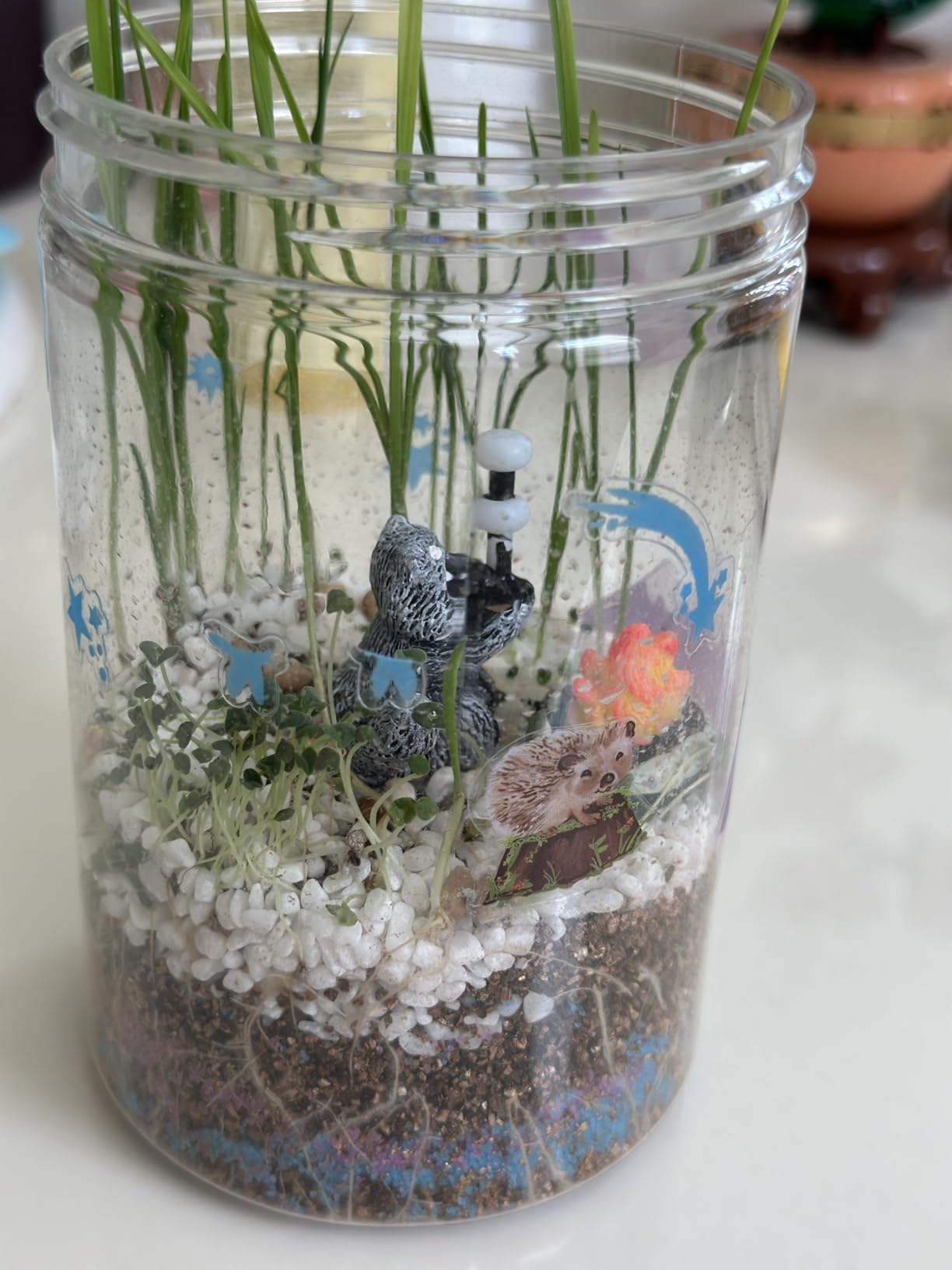 Creativity for Kids Grow 'N Glow Terrarium Kit - Educational Science Kits | Screen Free Summer Fun Activities | Gifts for Boys and Girls | Craft and STEM Projects (Ages 6+) customer photo 1