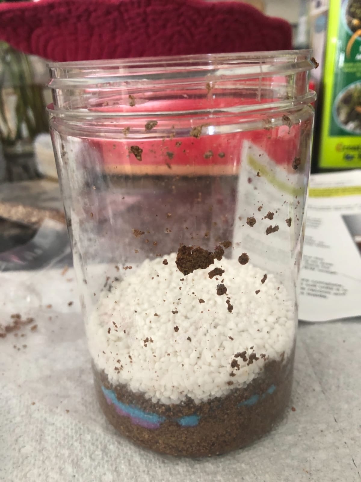 Creativity for Kids Grow 'N Glow Terrarium Kit - Educational Science Kits | Screen Free Summer Fun Activities | Gifts for Boys and Girls | Craft and STEM Projects (Ages 6+) customer photo 2
