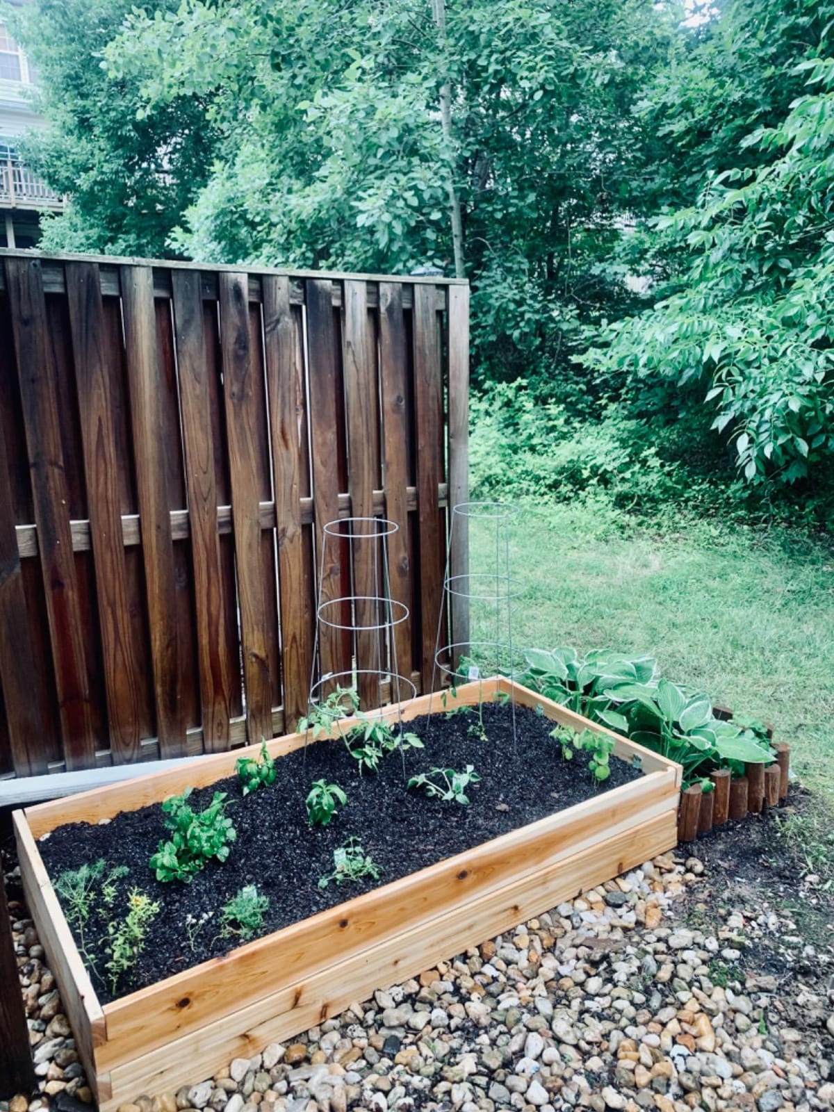 Infinite Cedar Premium Cedar Raised Garden Bed - 3' x 6' x 11
