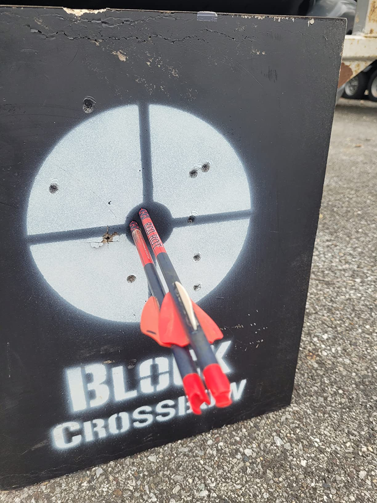 Swhacker #219 Crossbow Broadheads 100 Grain, 2-Blade Mechanical Expandable Broadhead, 1.75
