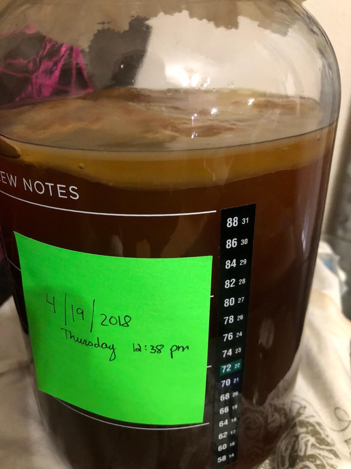 The Kombucha Shop Organic Kombucha Starter Kit - 1 Gallon Brewing Kit Includes All The Essentials Required for Brewing Kombucha At Home customer photo 1