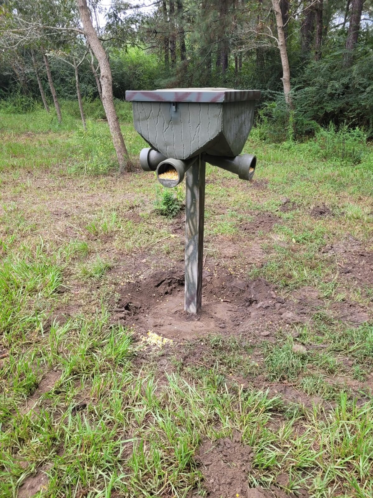 Banks Outdoors Gravity Fed Tree and Post Mountable Weatherproof Feed Bank Deer and Game Hunting Feeder with 40 Pound Capacity, Green customer photo 1