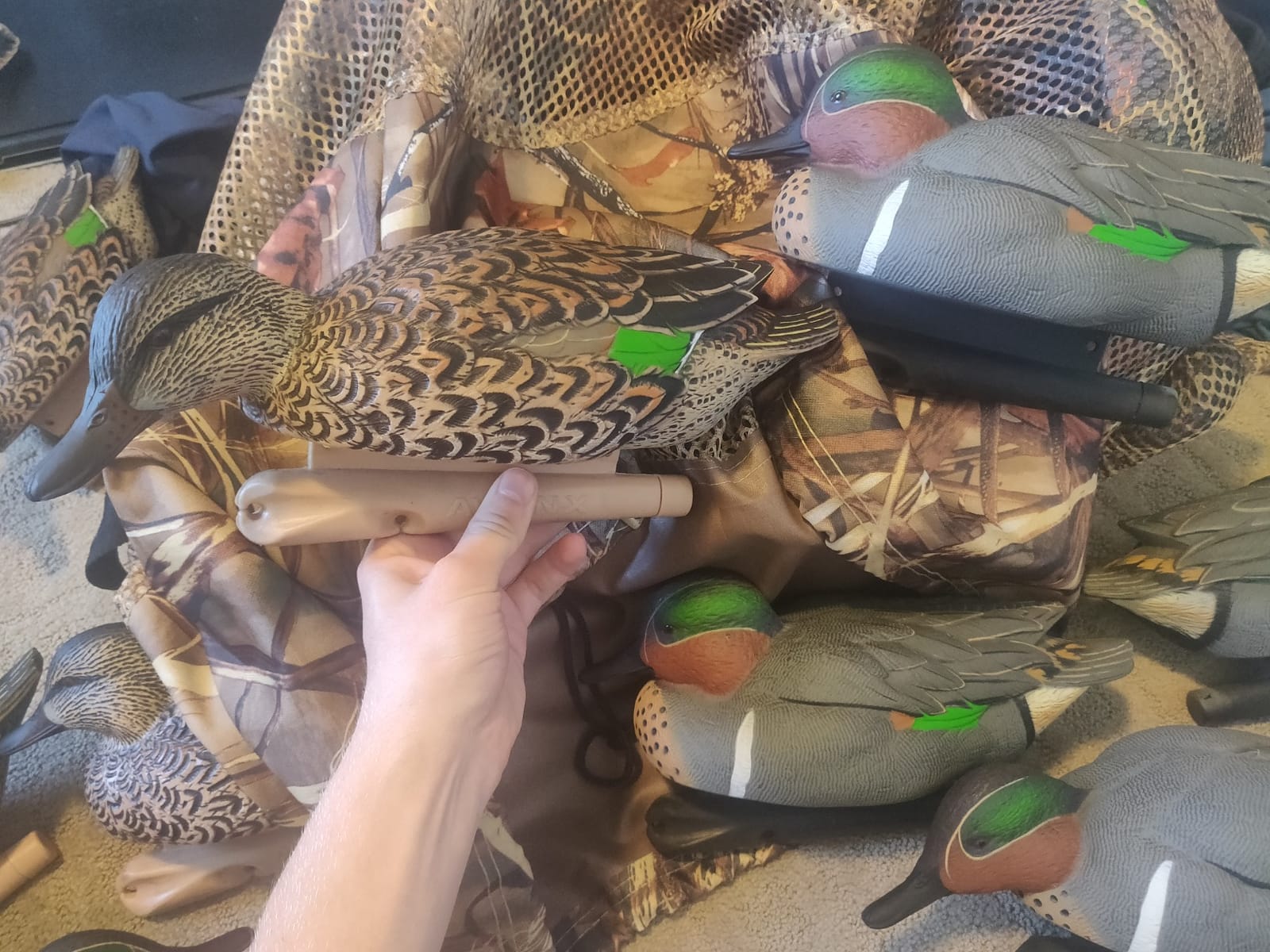 Avian X Topflight Green-Winged Teal Decoys, Realistic Floating Duck Decoys for Hunting, Weight-Forward Swim Keel, Set of 6, Multicolor customer photo 1