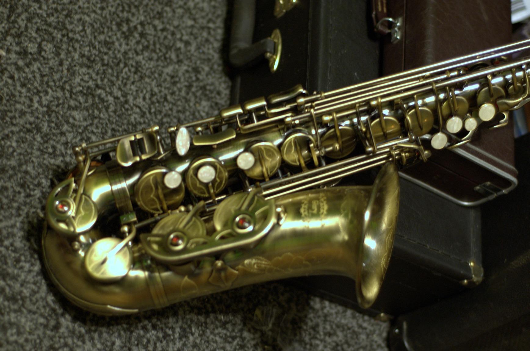 Glory Gold Laquer E Flat Alto Saxophone with 11reeds,8 Pads cushions,case,carekit customer photo 1