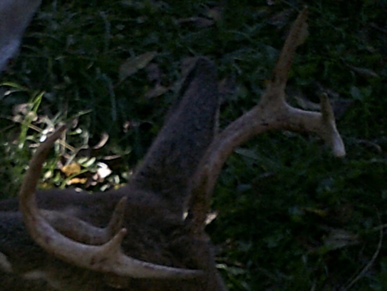 Flextone Outdoor Hunting Freeze-Proof Headhunter's Extractor Deer Game Call customer photo 1