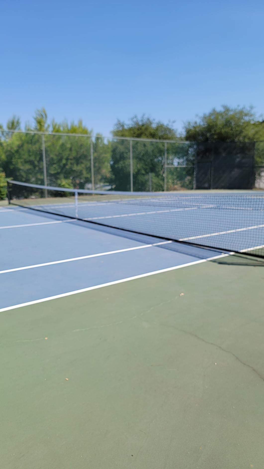 Super Pro Tennis Net Double, Series 700D customer photo 1
