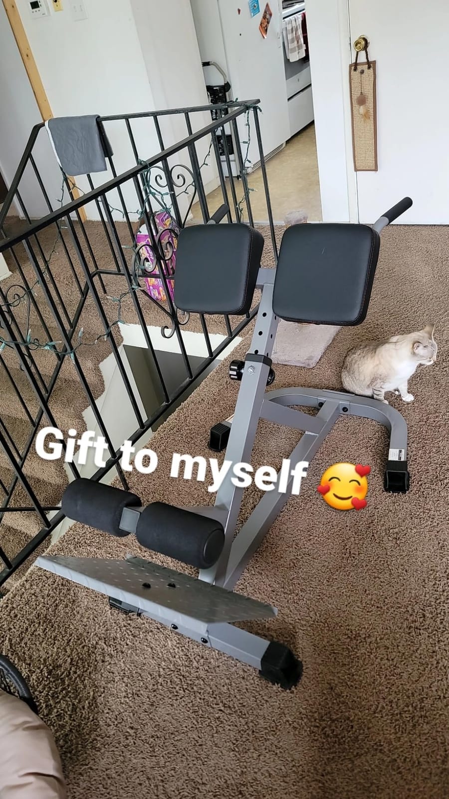 CAP Barbell Strength Hyperextension customer photo 2