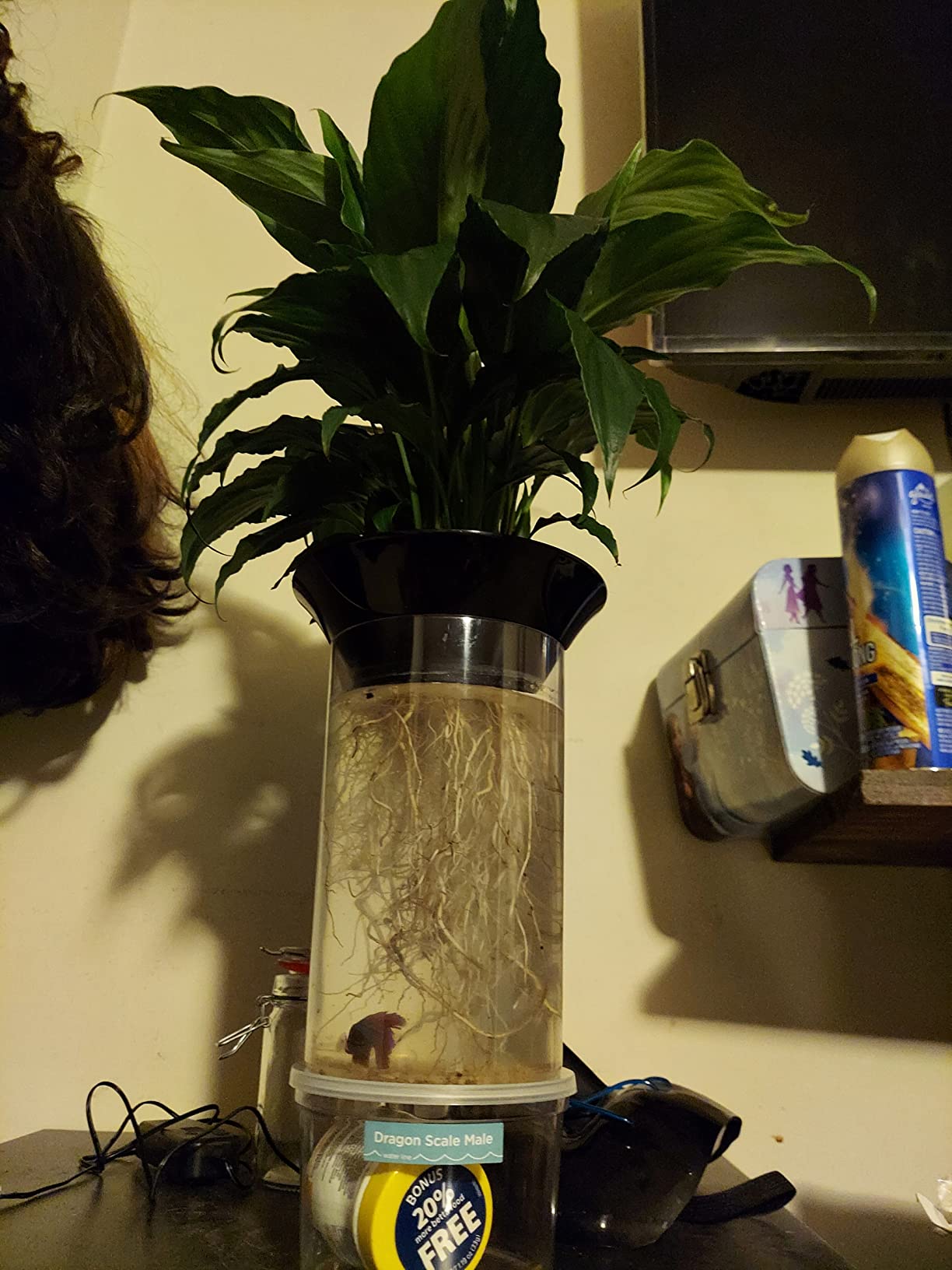 Penn-Plax (APON1) Aquaponic Planter and Aquarium for Betta Fish Tank - Promotes Healthy Hydroponic Environment for Plants and Fish customer photo 2