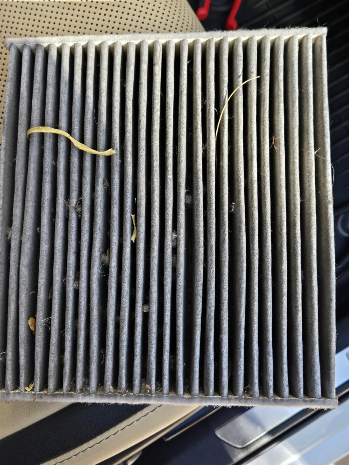 EPAuto CP285 (CF10285) Premium Cabin Air Filter includes Activated Carbon customer photo 1