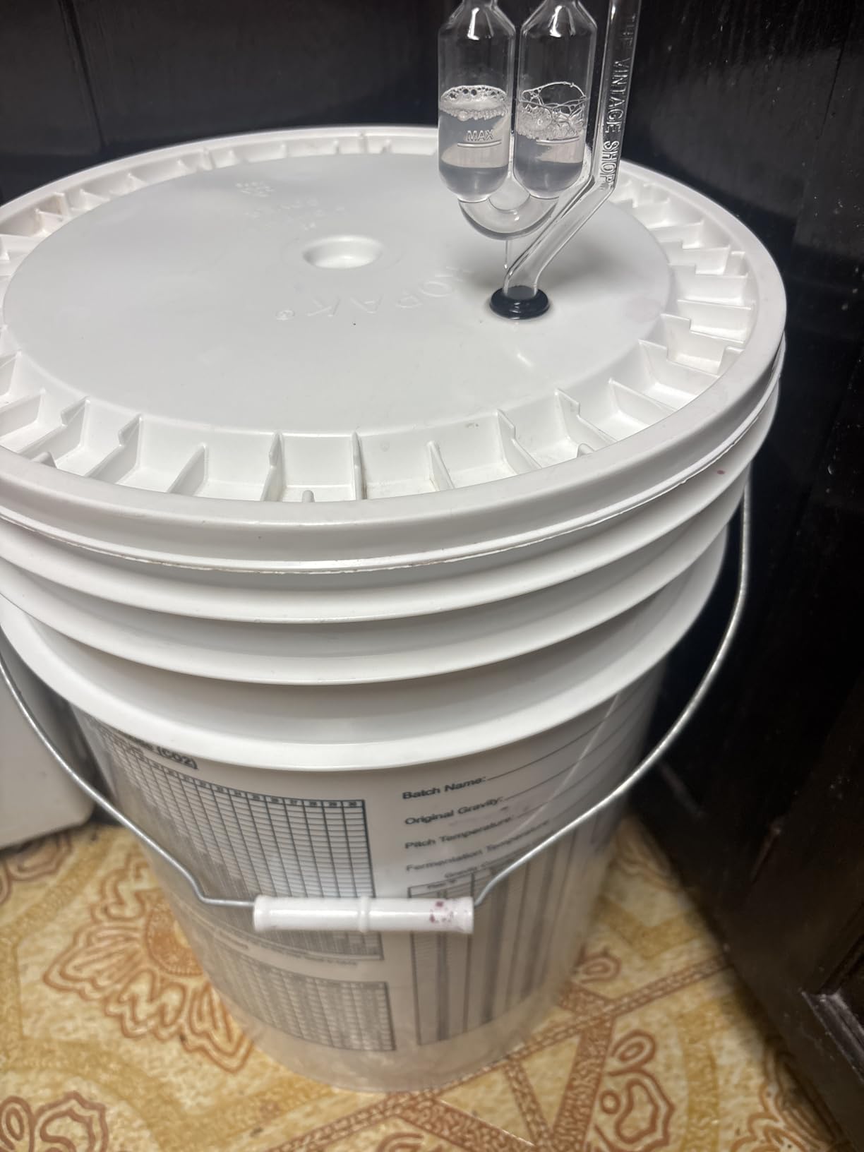 Wild Grapes DIY Wine Making Kits, Cabernet Sauvignon, Makes up to 30x750mL | Premium Ingredients, Ready in 4 Weeks, Includes Wine Base, Yeast, Fining Agents And 30 Labels customer photo 2