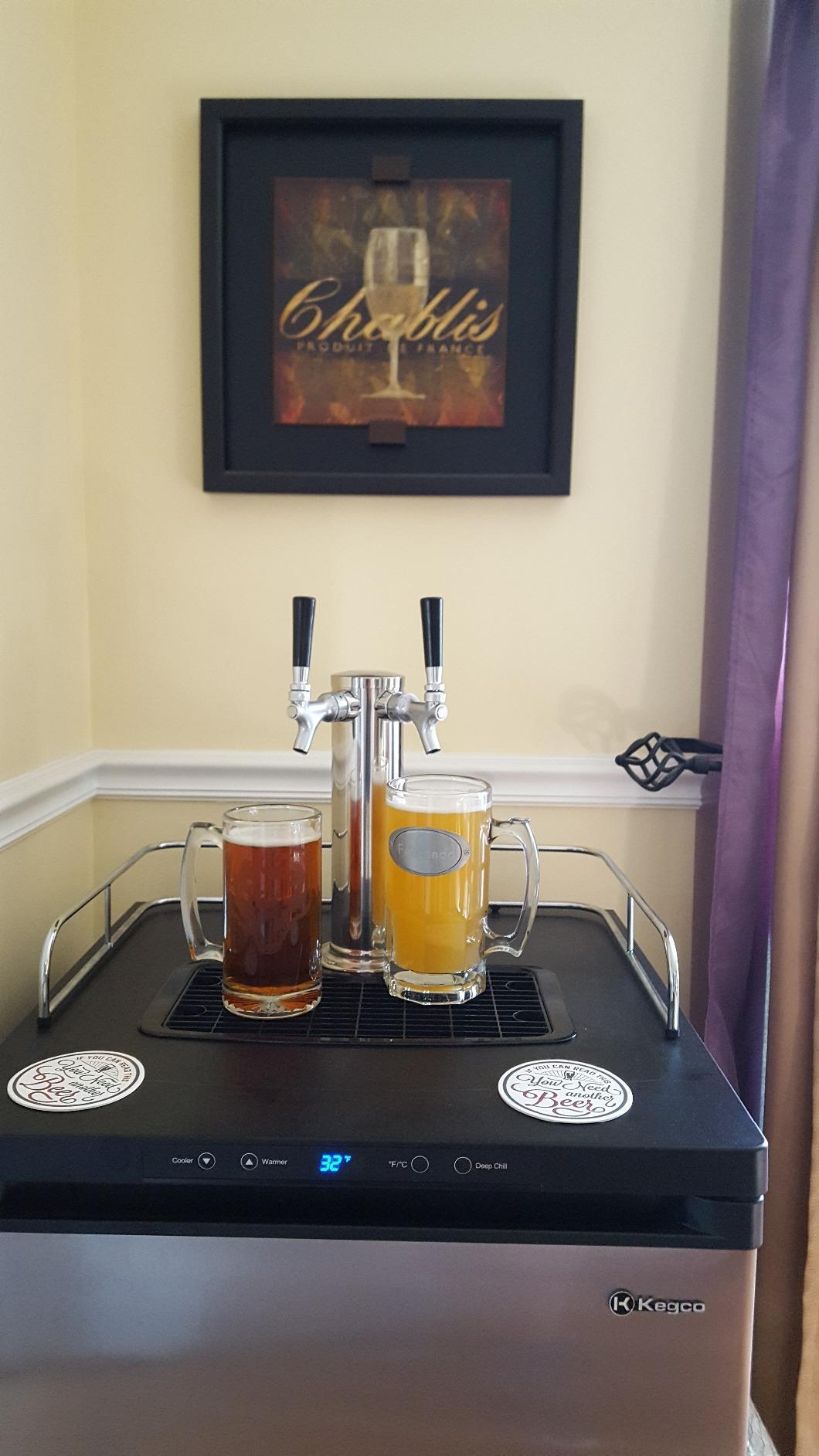 Kegco HBK309S-2 Home Brew Keg Dispenser, Stainless Steel, 2 Tap customer photo 1