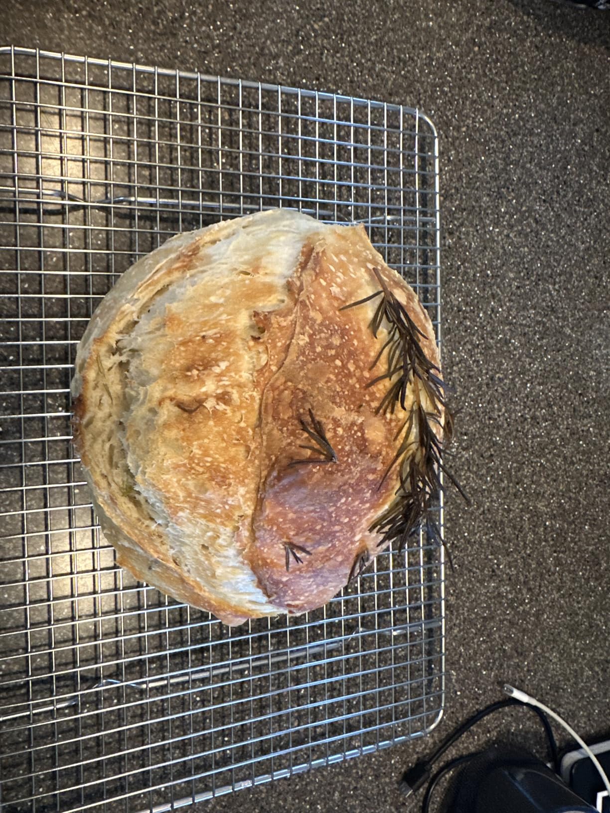 Spring Chef 10