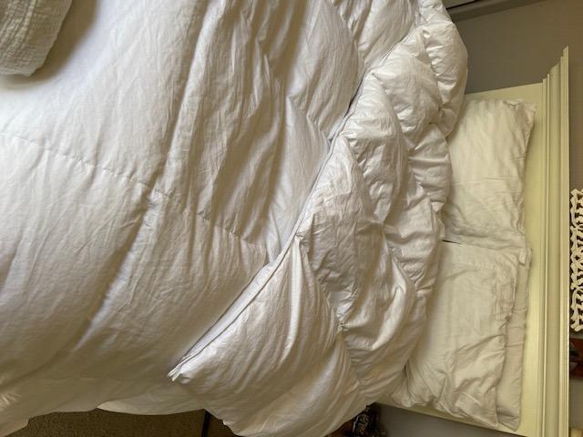 puredown Goose Down Comforter Full/Queen Size 800 Fill Power, 100% Cotton Winter Oversized Duvet Insert 700 Thread Count, Heavyweight Cloud Fluffy Pinch Pleat Extra Warmth customer photo 1