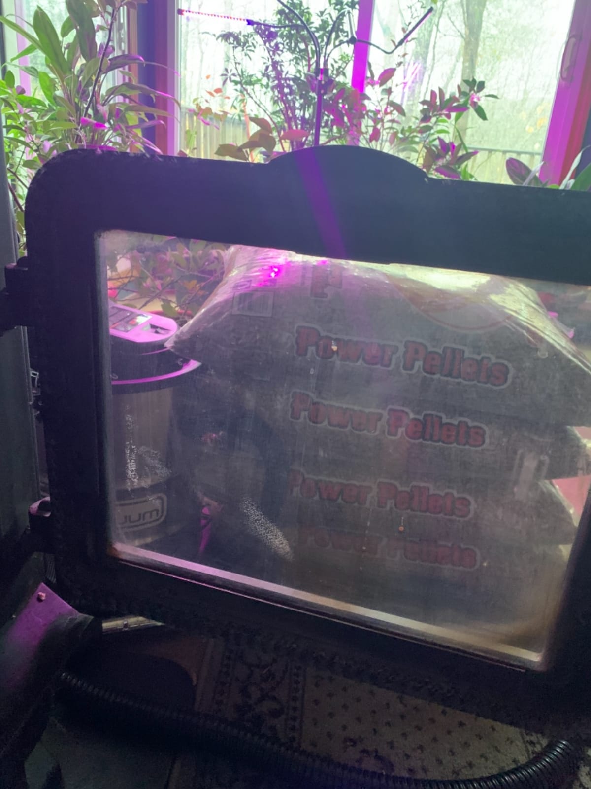 PowerSmith Ash Vacuum 10 Amp 4 Gallon Vacuum and Blower PAVC102 customer photo 1