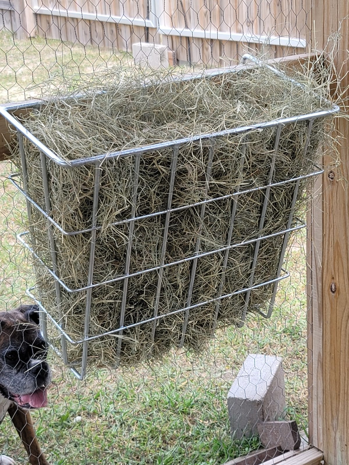 Premier 1 X-Tuff Single Sided Hay Feeder customer photo 2