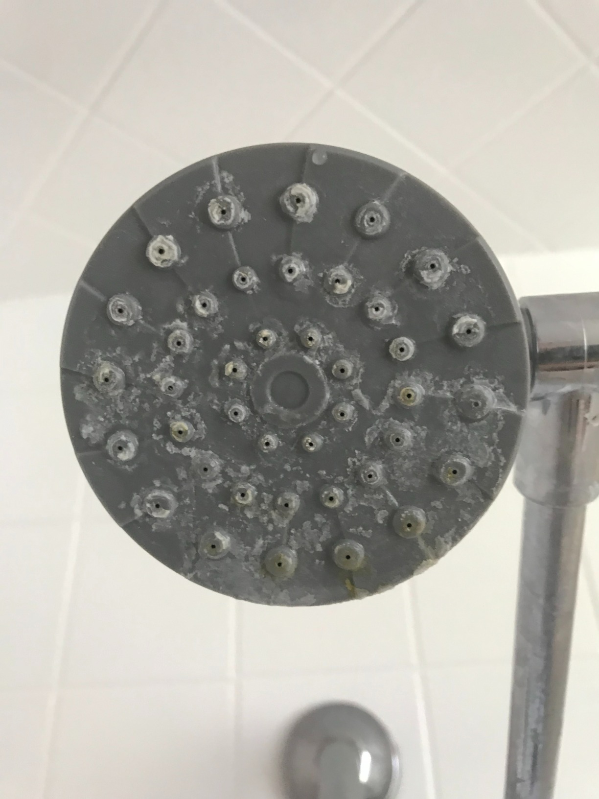 NuvoH2O Manor Salt-Free Whole Home Water Softener System customer photo 1