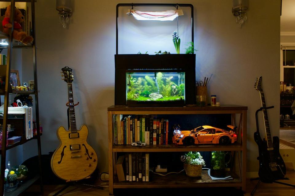 AquaSprouts Aquaponics Garden, Self-Sustaining Desktop Aquarium Hydroponics Ecosystem Kit, fits Standard 10 Gallon Aquariums customer photo 2