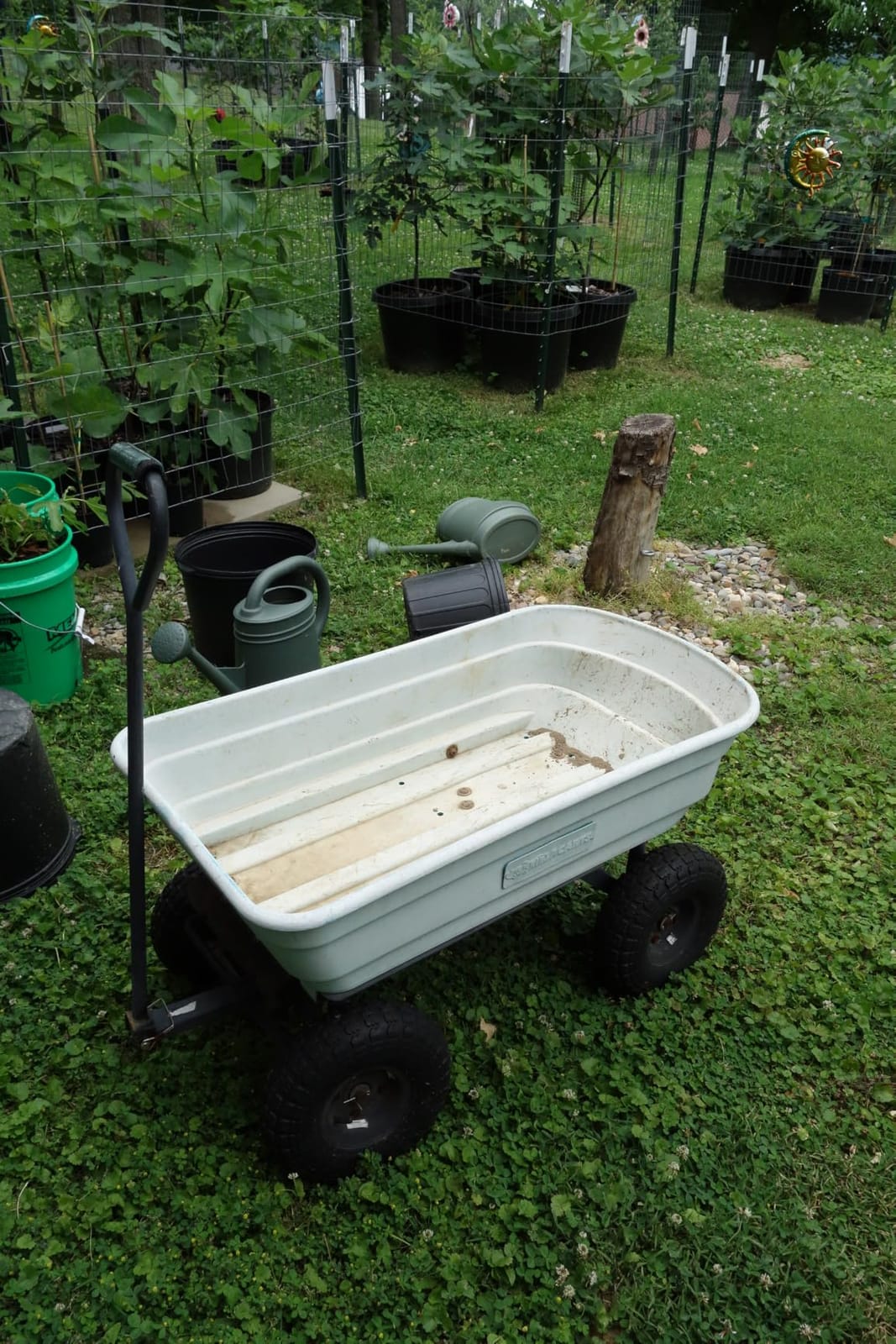 Gorilla Carts Poly Dump Cart, 600 lb. Capacity, 4 Cu ft, Quick Release Dump | Pneumatic Tires, Rust-resistant poly bed, Easy assembly customer photo 1