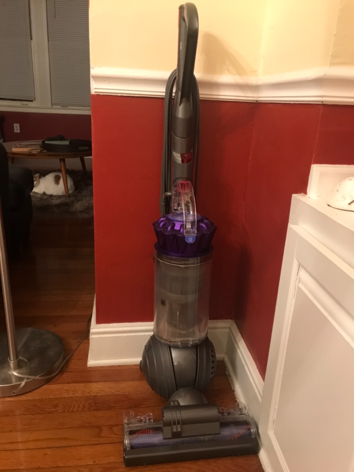 Dyson Ball Animal Upright Vacuum - Corded, Self-Adjusting Cleaner Head, HEPA Filter, Height Adjustment, Telescopic Handle, Rotating Brushes customer photo 1