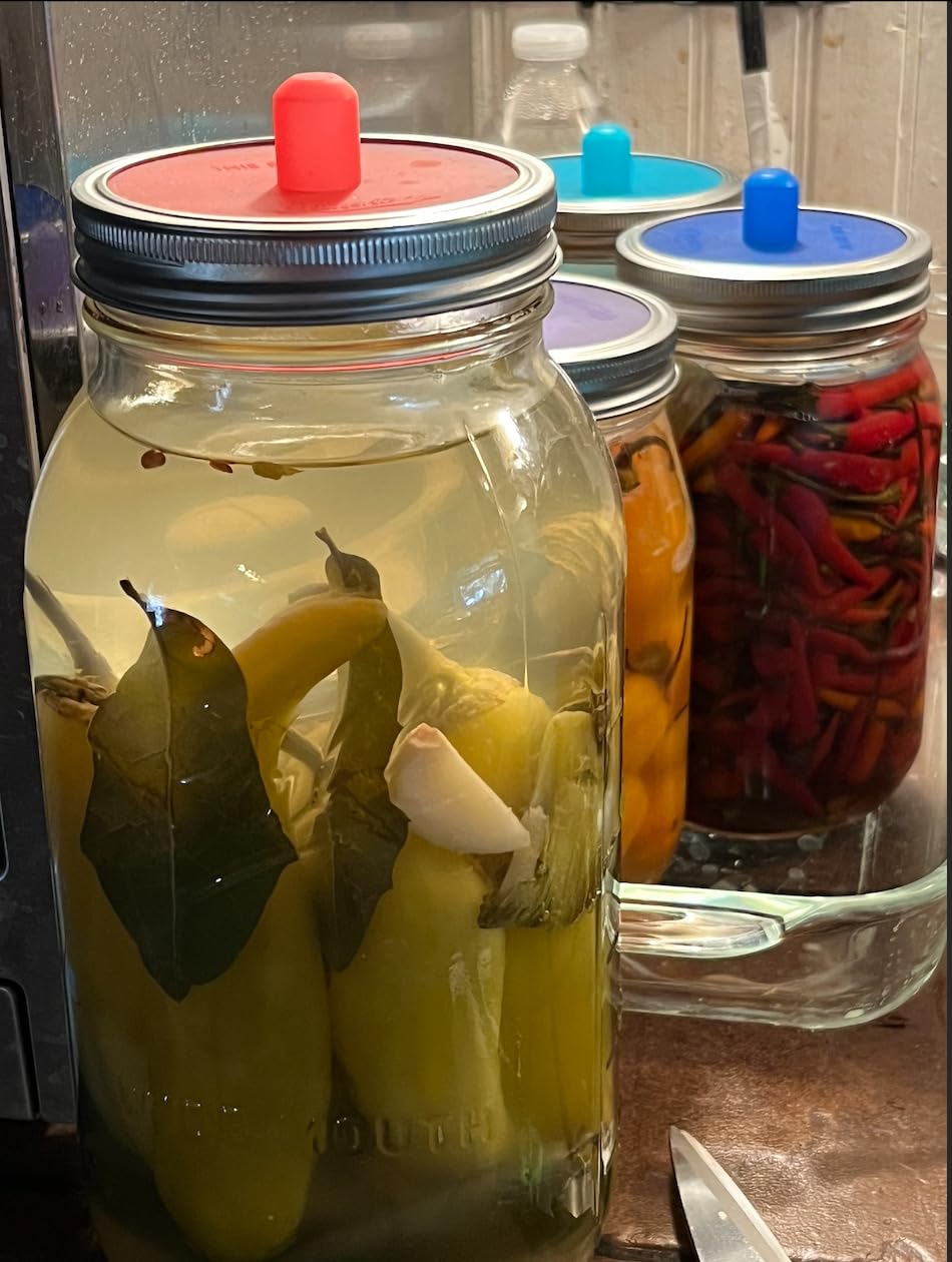 Masontops Pickle Pipes - Airlock Fermentation Lids - Fermentation Kit for Small Mouth Mason Jar Sauerkraut & Pickle Kit Fermentation Jar not Included customer photo 2