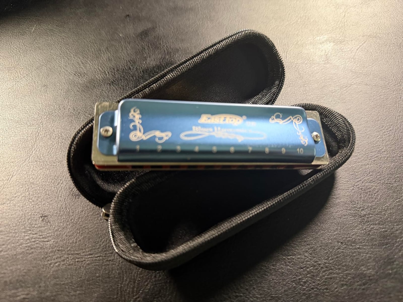 East top Harmonica Key of C, 10 Holes 008K Diatonic Mouth Organ with Blue Case, Standard Harmonica For Adults, Professionals, Beginners and Students, as a Gift customer photo 2