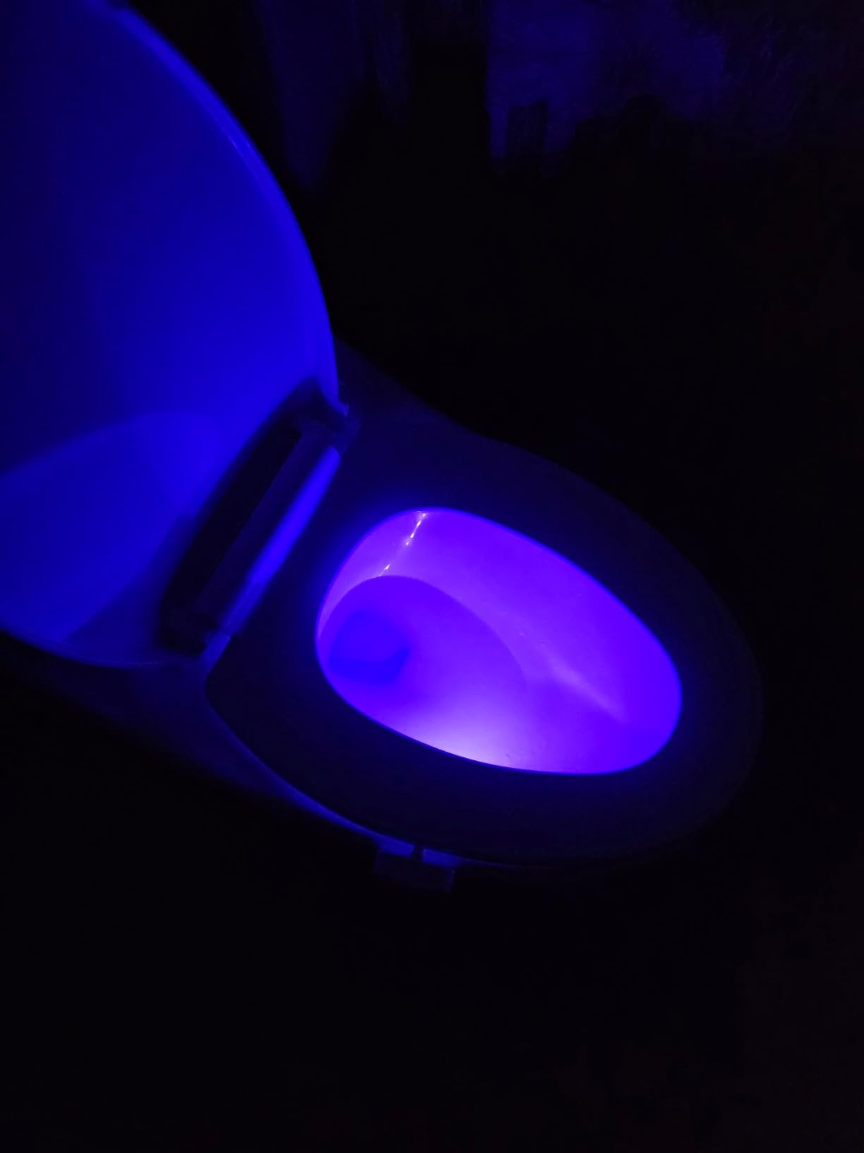 ToiLight The Original Toilet Bowl Night Light. Fun Useful Bathroom Motion Sensor Tech Gadget. Funny Novelty Birthday Gift Idea. Stocking Stuffer for Him, Her, Guys, Men, Mom, Brother customer photo 1