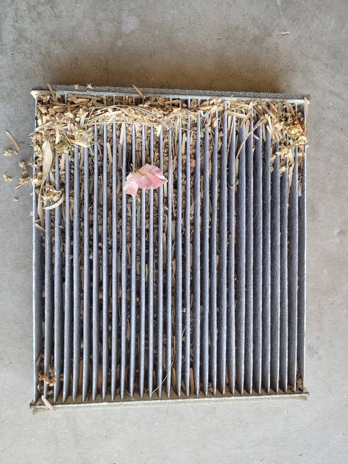 BOSCH 6055C HEPA Cabin Air Filter - 3 Layer Protection For A Healthier Ride | Compatible with Select Lexus; Subaru; Toyota 4Runner, Camry, Corolla, Highlander, Prius, RAV4, Sequoia, Sienna, Tundra + More customer photo 1